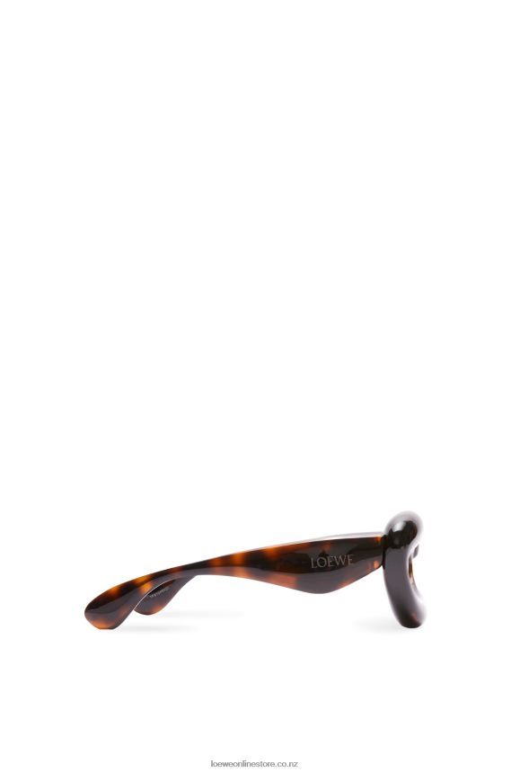 Loewe Women Inflated cateye sunglasses in nylon Havana LH60R1422