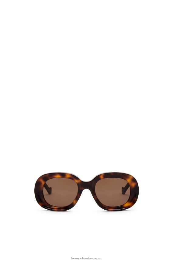 Loewe Women Oval sunglasses in acetate Havana LH60R1493