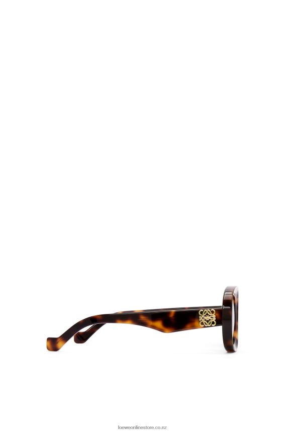 Loewe Women Oval sunglasses in acetate Havana LH60R1493