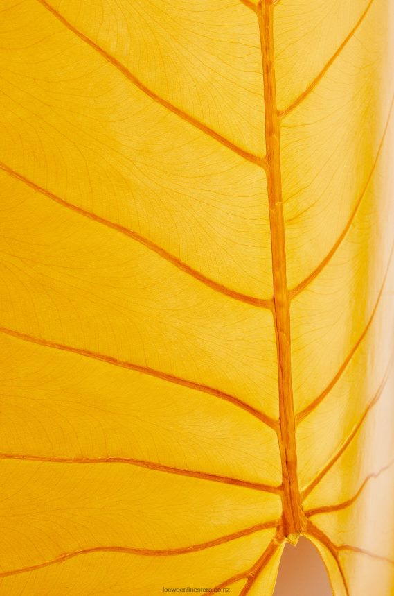 Loewe Women Alocasia Leaf top Bright Orange LH60R860