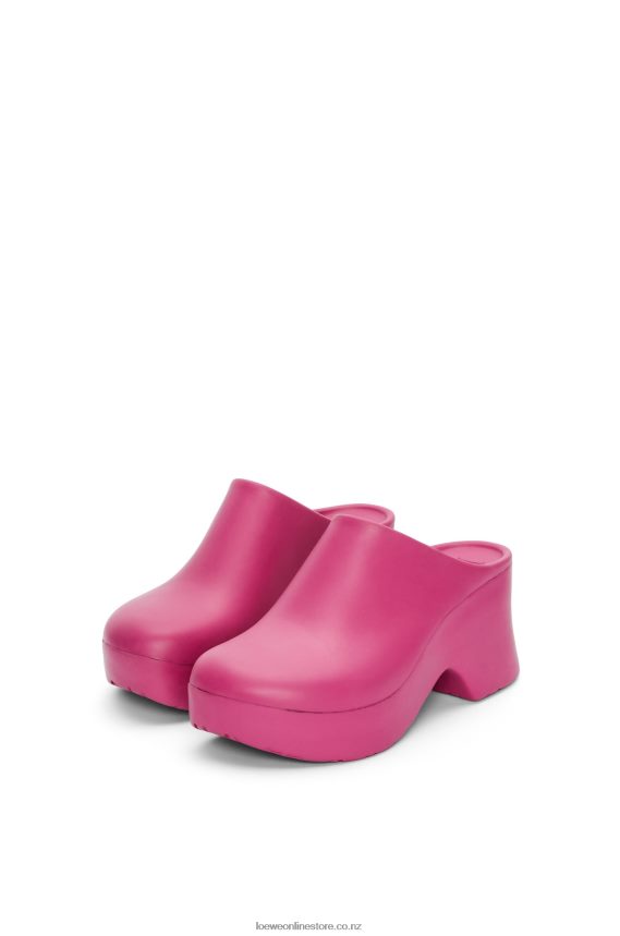 Loewe Women Terra foam clog in light foam rubber Pink Hortensia LH60R752