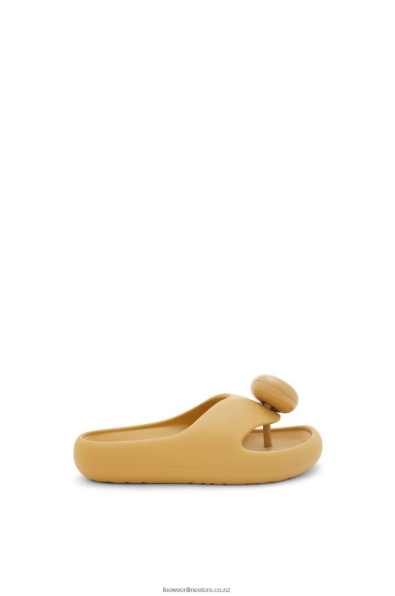 Loewe Women Foam Slide Medium Concealer LH60R719