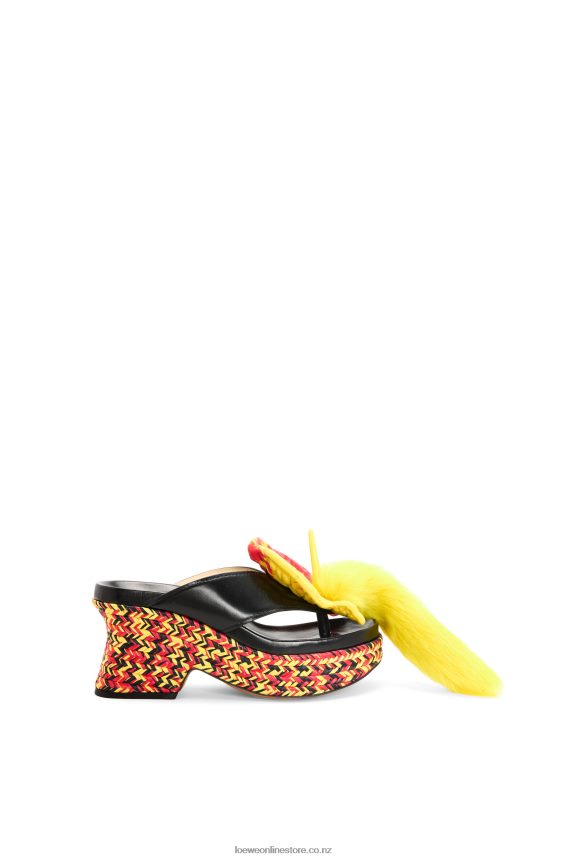 Loewe Women Petal flatform sandal in lambskin Black/Multicolor LH60R688