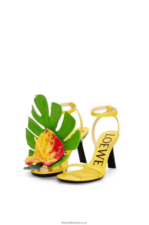 Loewe Women Petal sandal in lambskin Acacia Yellow LH60R689