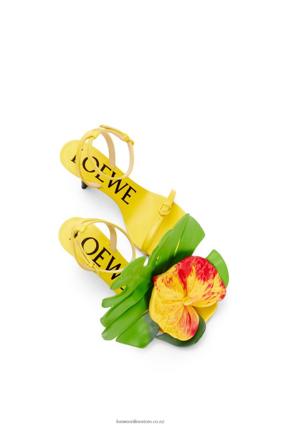 Loewe Women Petal sandal in lambskin Acacia Yellow LH60R689