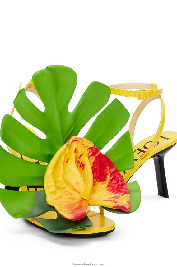 Loewe Women Petal sandal in lambskin Acacia Yellow LH60R689