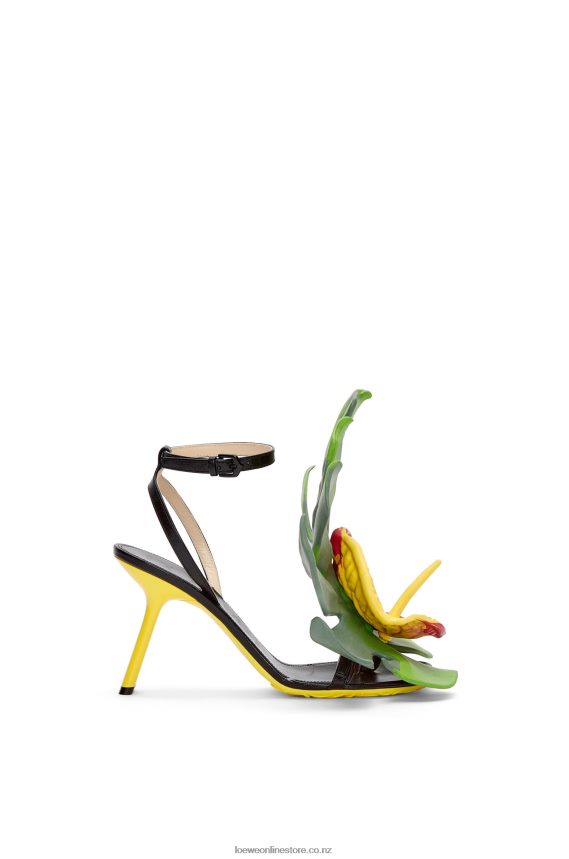 Loewe Women Petal sandal in lambskin Black LH60R690